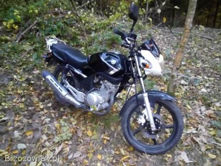 Yamaha YBR 125 2010
