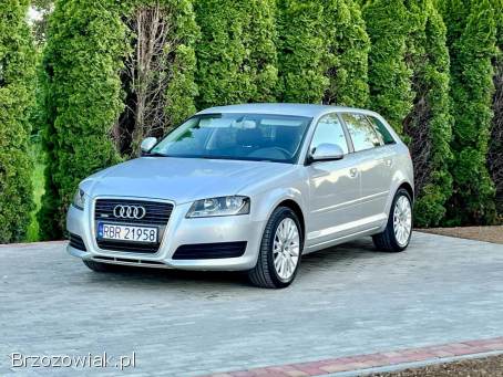Audi A3 8p quattro 2010