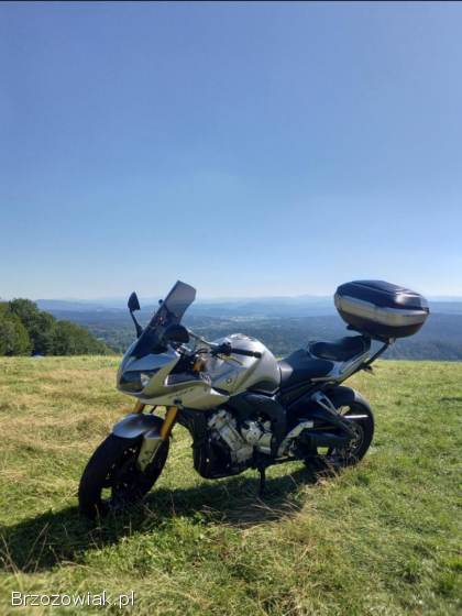 Yamaha FZ Fz1000 2006