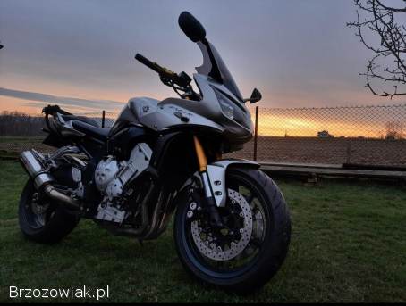 Yamaha FZ Fz1000 2006