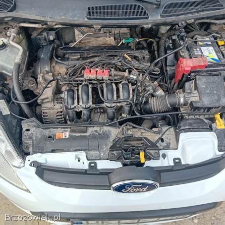 Ford Fiesta LPG,  5-drzwiowy  2009