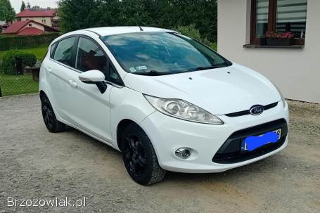 Ford Fiesta LPG,  5-drzwiowy  2009