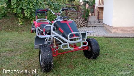 Sprzedam quad trike.