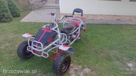 Sprzedam quad trike.