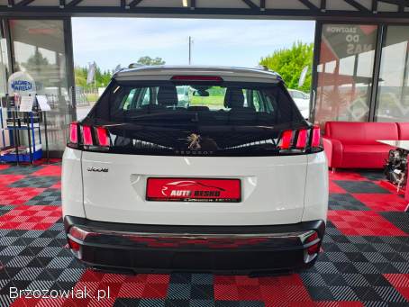 Peugeot 3008 Stan Perfekcyjny 2019