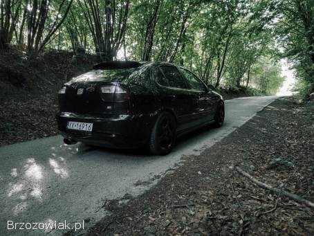 Seat Leon Cupra R 2004