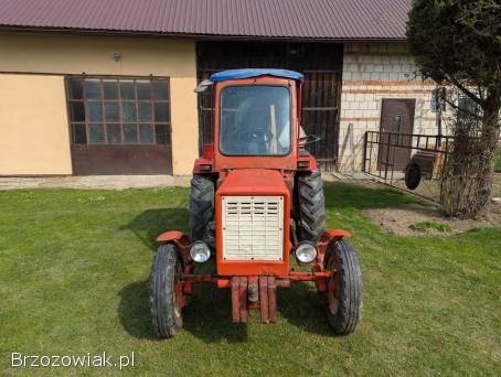 1976 Wladimirec T25A