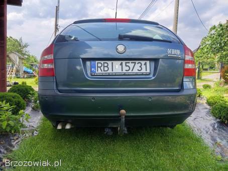 Škoda Octavia 1.  9tdi 4x4 2005