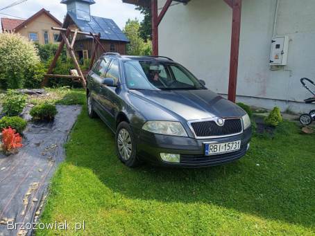 Škoda Octavia 1.  9tdi 4x4 2005