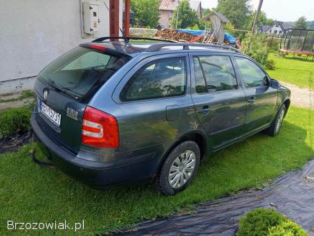 Škoda Octavia 1.  9tdi 4x4 2005