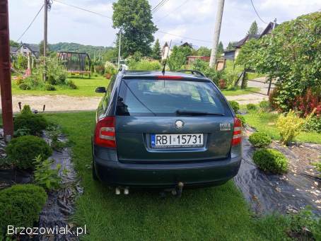 Škoda Octavia 1.  9tdi 4x4 2005
