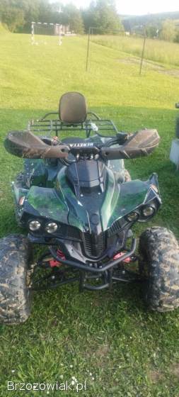 Quad 125 Beretta