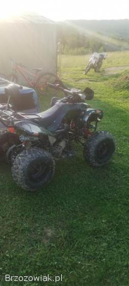 Quad 125 Beretta