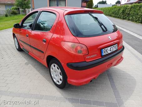 Peugeot 206 2004