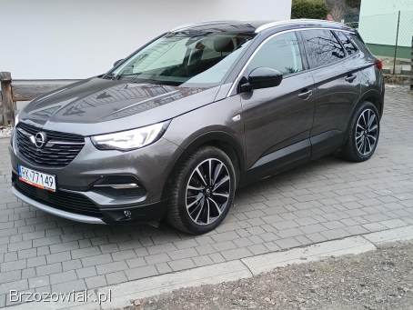 Opel Grandland X 2020