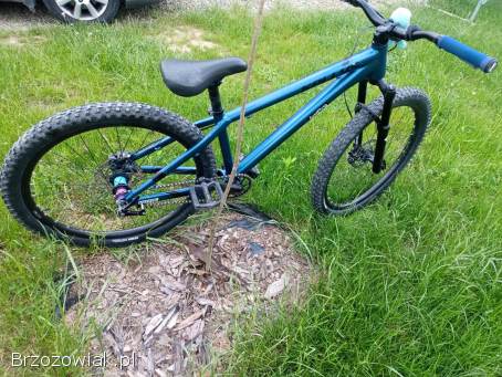 Rower Dirt Kellys Whip 50