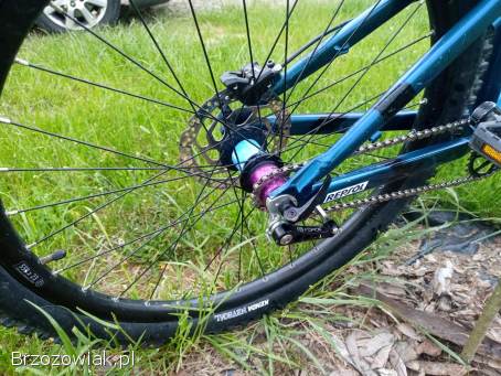 Rower Dirt Kellys Whip 50
