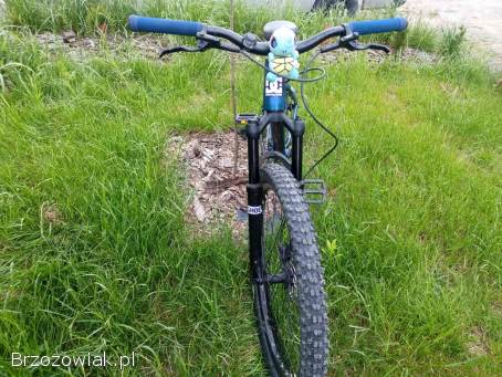 Rower Dirt Kellys Whip 50
