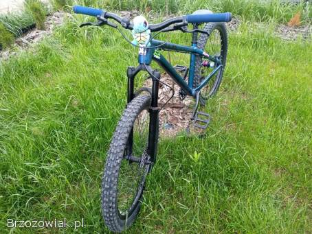 Rower Dirt Kellys Whip 50