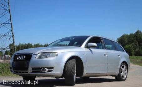 Audi A4 B7 2007