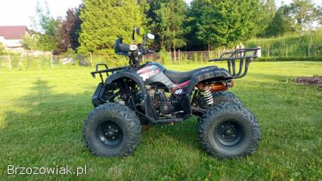 Quad XTR Phyton 125