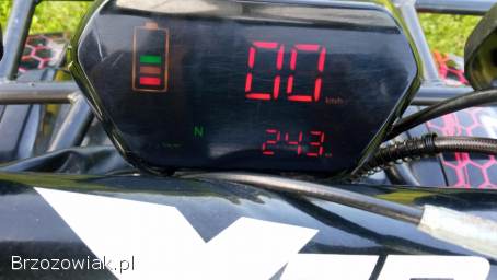 Quad XTR Phyton 125