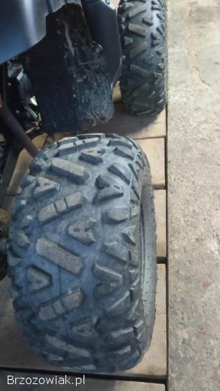 Quad XTR Phyton 125
