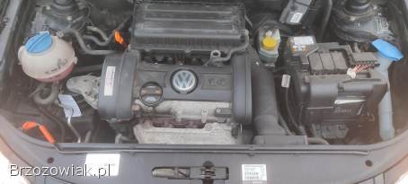Volkswagen Polo 5 drzwi-zNiemiec 2007