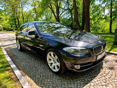 BMW Seria 5 Salon PL 2011
