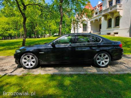 BMW Seria 5 Salon PL 2011