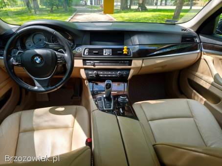 BMW Seria 5 Salon PL 2011