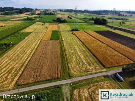 Działka budowlana w Korczynie