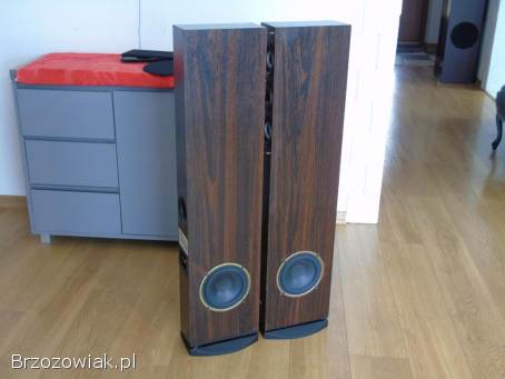 Mocne i ładne kolumny AEG 2x 480 wat.  DOSTAWA.