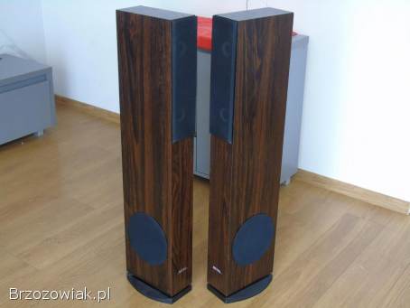 Mocne i ładne kolumny AEG 2x 480 wat.  DOSTAWA.