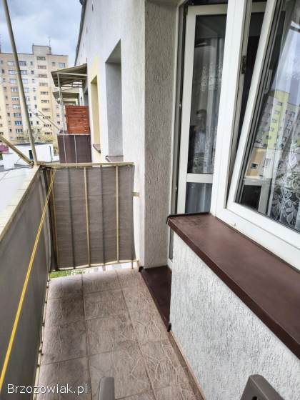 Atrakcyjne 3-pokojowe mieszkanie w centrum miasta