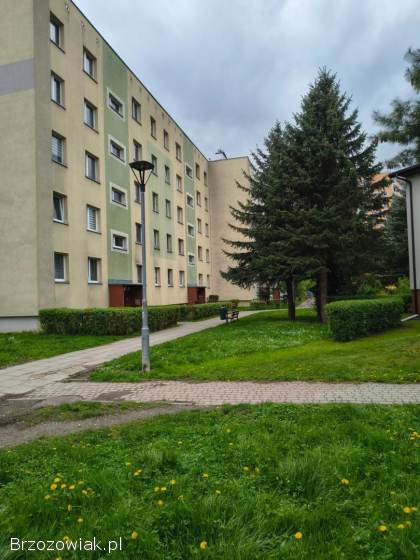Atrakcyjne 3-pokojowe mieszkanie w centrum miasta