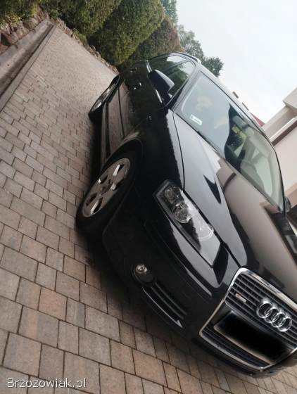 Audi A3 8P 2005
