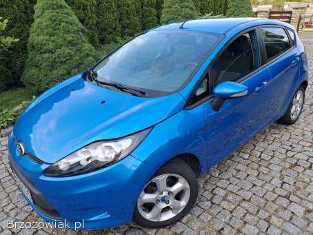 Ford Fiesta 2010