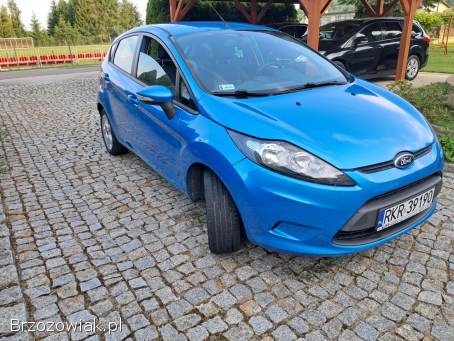 Ford Fiesta 2010