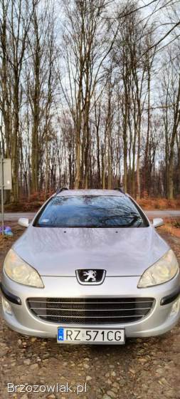 Peugeot 407 SW 2006