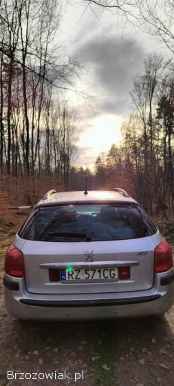Peugeot 407 SW 2006