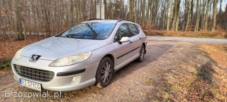 Peugeot 407 SW 2006