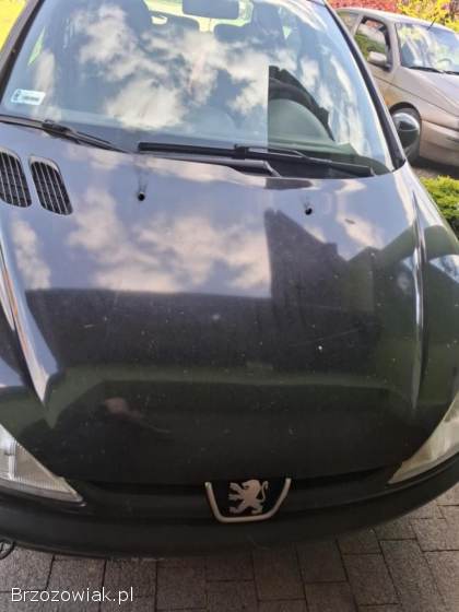 Peugeot 206 2000