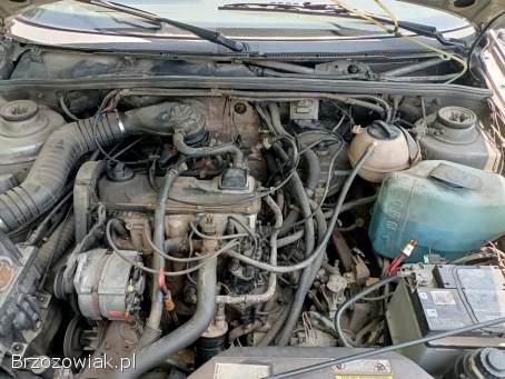 Volkswagen Passat 1.  8 b+g 92r 1992