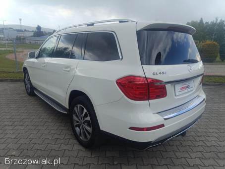Mercedes-Benz GL GL450 4Matic 2013