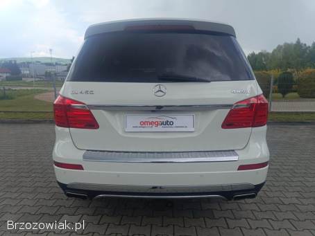 Mercedes-Benz GL GL450 4Matic 2013
