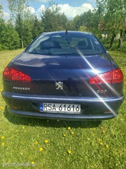 Peugeot 607 2009