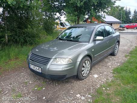 Volkswagen Passat 1.  9TDI 101km 01r 2001