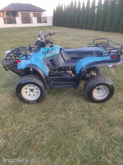 Quad linhai 260cc