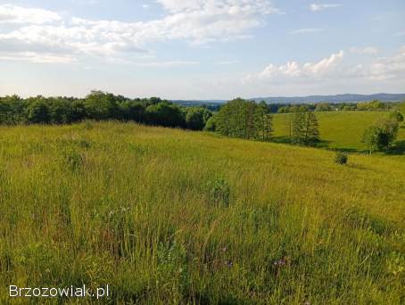 Układanie kostki brukowej,  ogrodzenia panelowe
